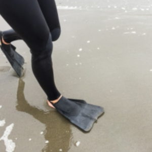 dafin fins classic black