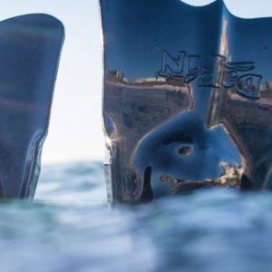 dafin fins classic black