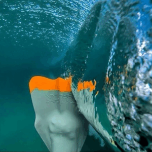 dafin_fins_classic_gray-orange-02