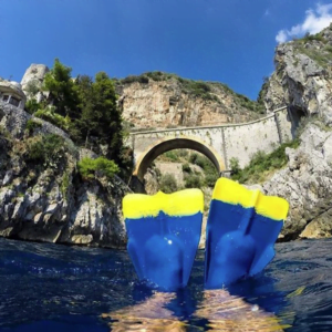 dafin_fins_classic_navy-yellow-02-300x300