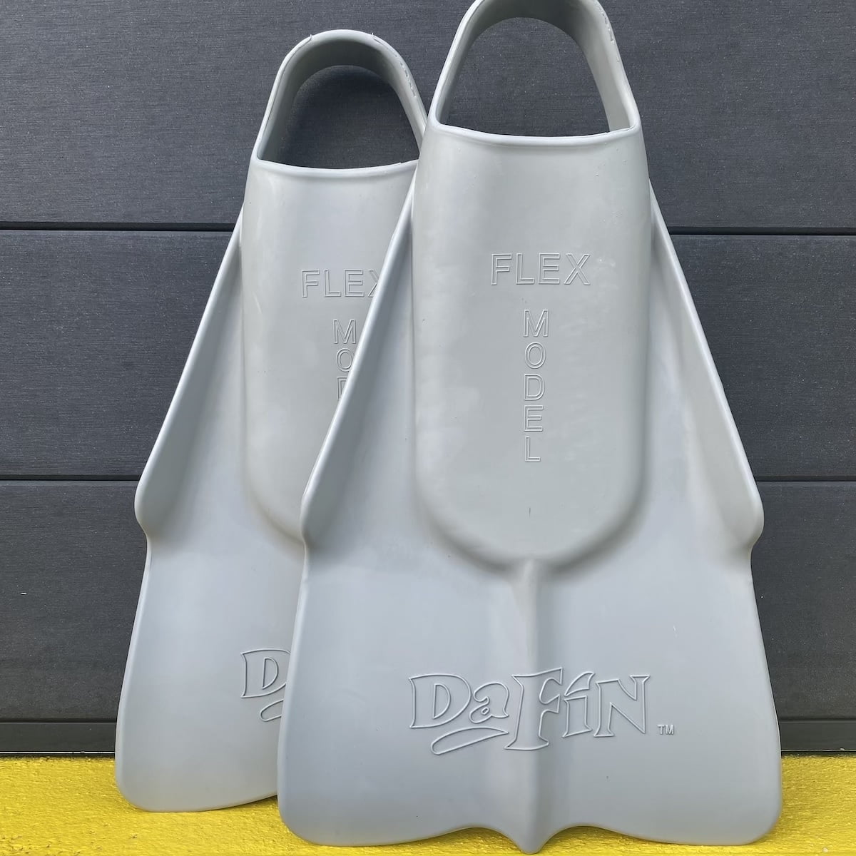 dafin-europe_flex_dolphin
